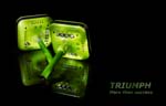 ���������� ������ �������� Triumph